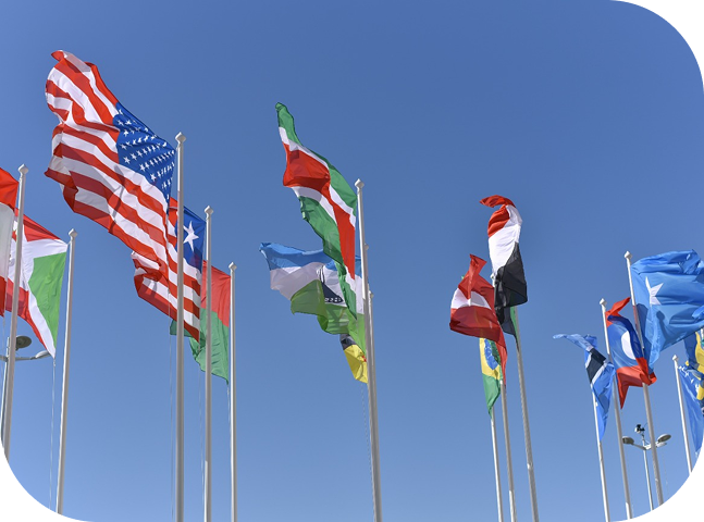 UsefulFlags